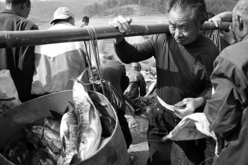 邵阳有多少人口_武冈及隆回 洞口 邵阳..这五个县市迎来一个好消息 和每个人